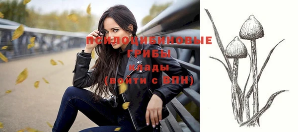 прущий лед Михайлов