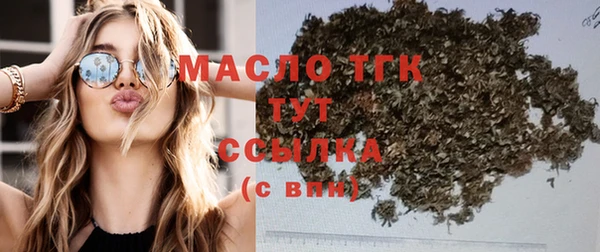 прущий лед Михайлов