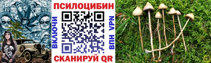 Псилоцибиновые грибы мицелий  Купить закладки  Снежинск 